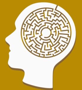 Akıl ve Zeka Oyunları Uygulayıcılığı